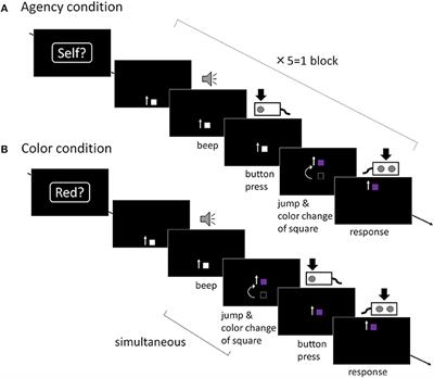 Dysconnectivity of the Agency Network in Schizophrenia: A Functional Magnetic Resonance Imaging Study